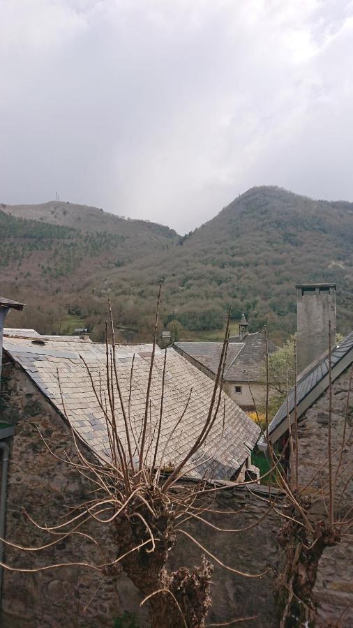 Appartement Dans Ancienne Maison Pyreneenne. Cadéac Εξωτερικό φωτογραφία